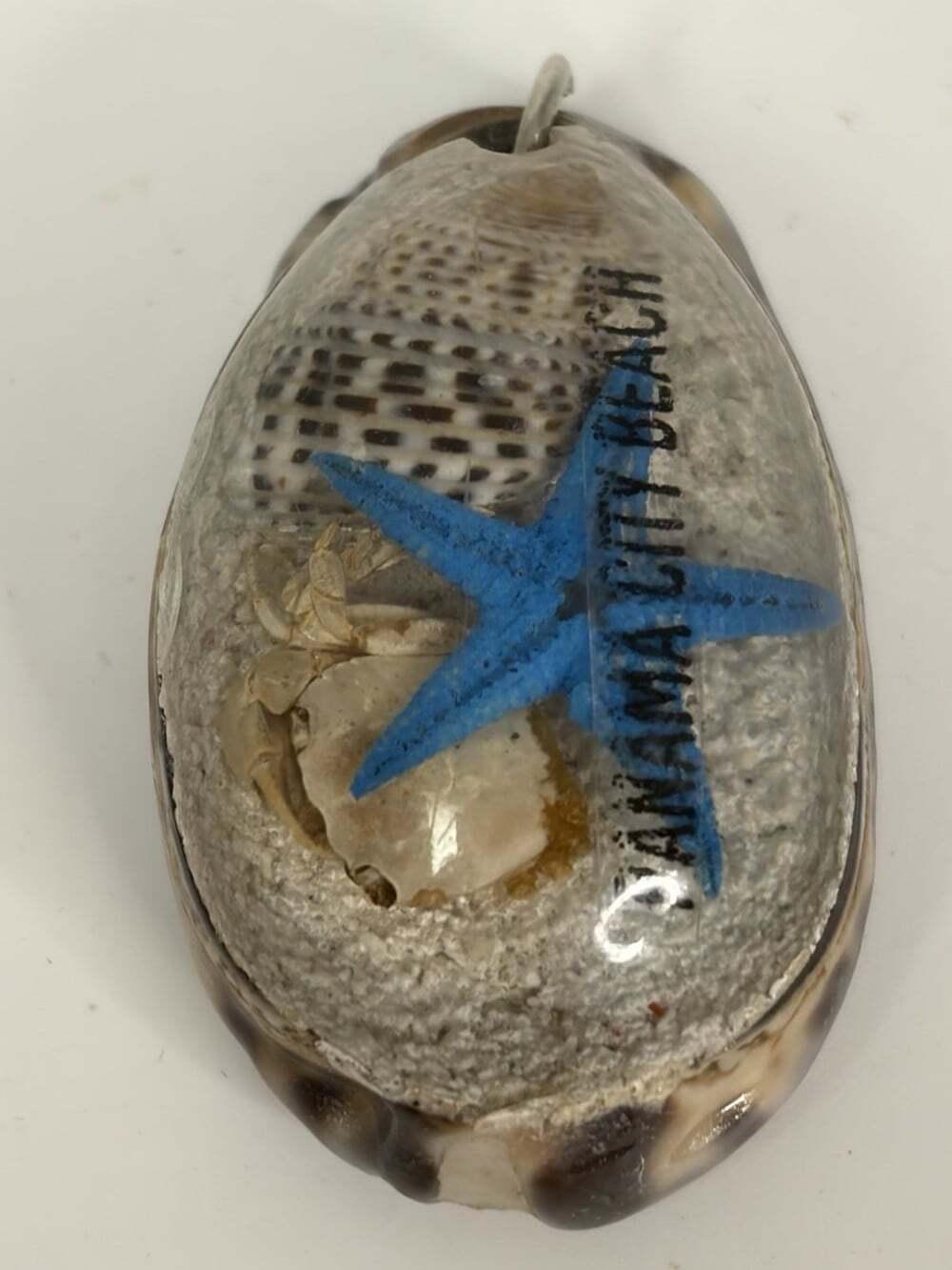 Panama City Beach Cowrie Shell Pendant Necklace Charm Blue Starfish Sand Souveni